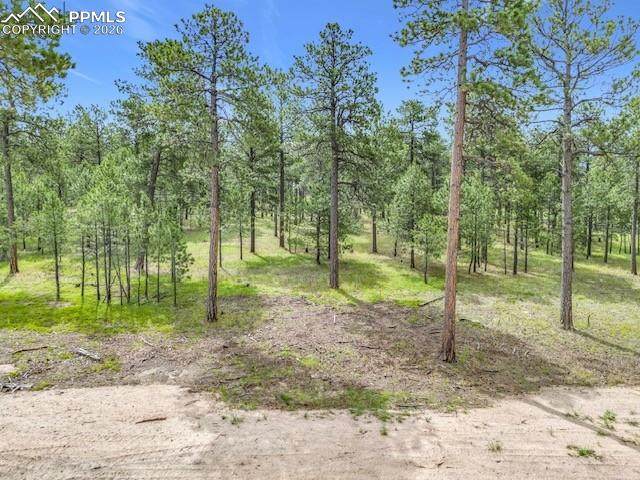 14671 Allen Ranch Road - Photo 1