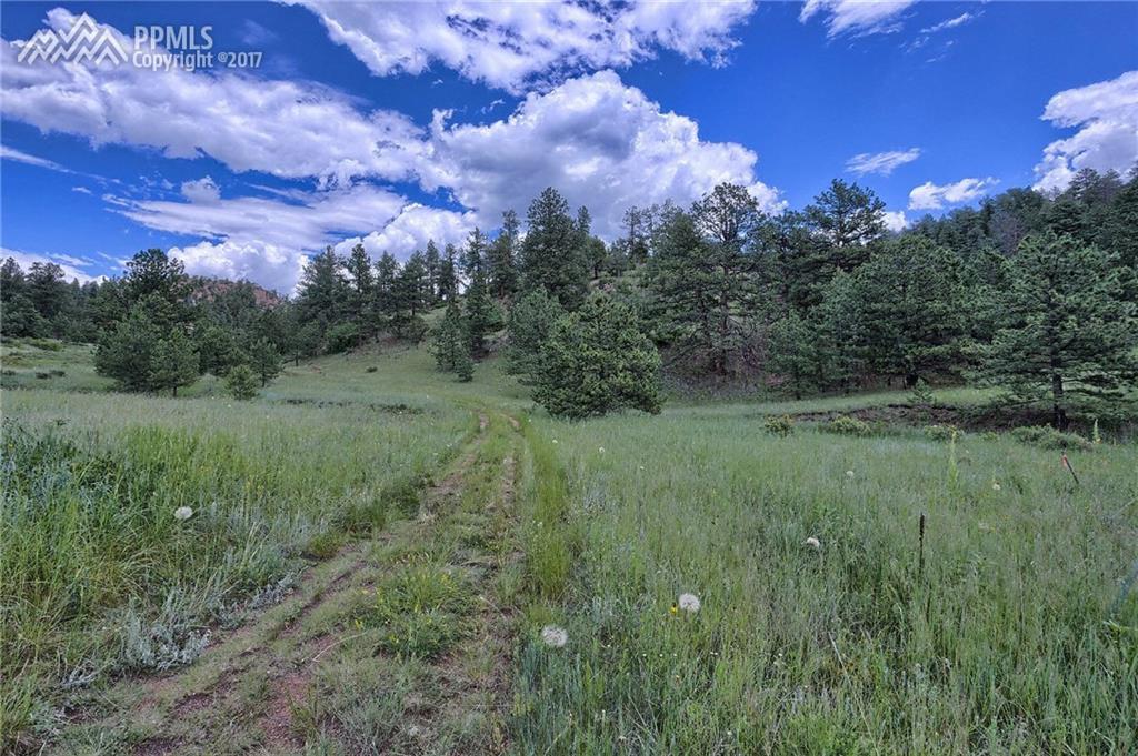 119 Blackfoot Lane - Photo 1