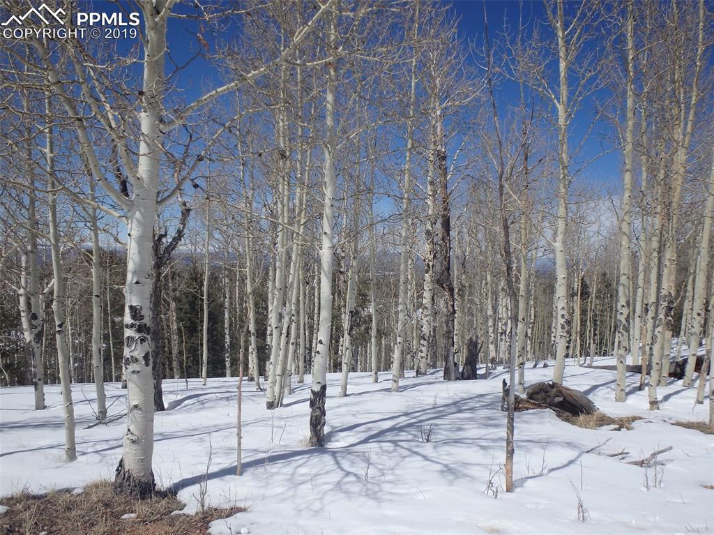 255 Andes Terrace - Photo 1