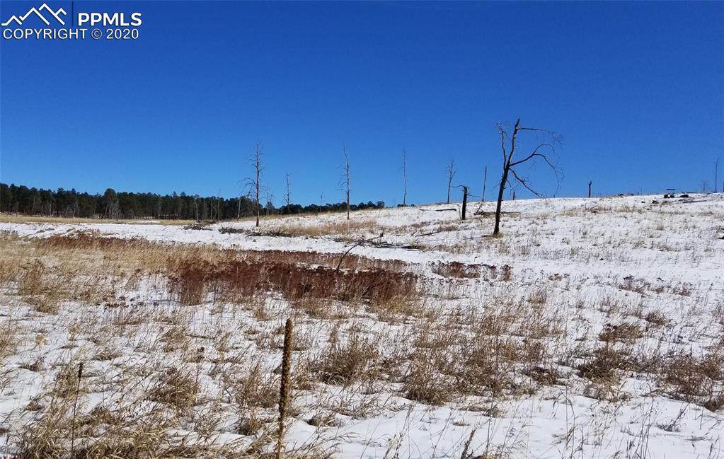 13265 Herring Road - Photo 1