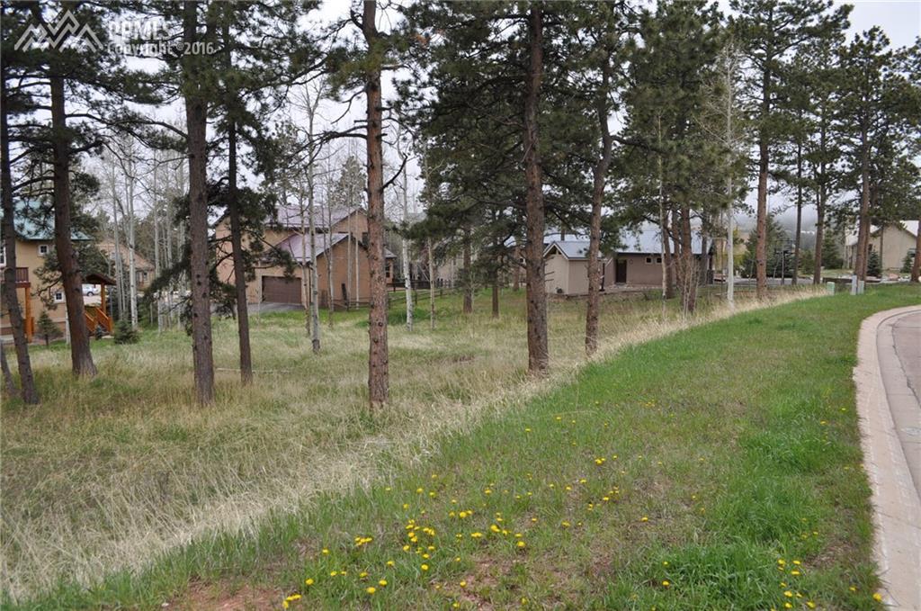 621 Skyline Drive - Photo 1