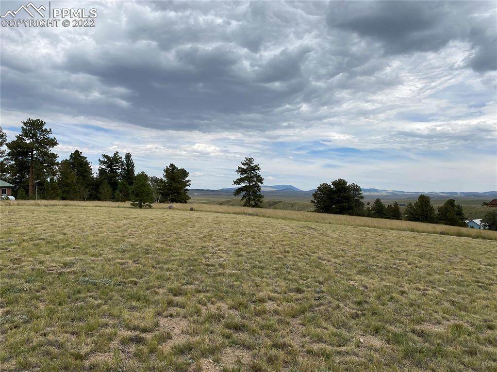 1179 Brahma Circle - Photo 1