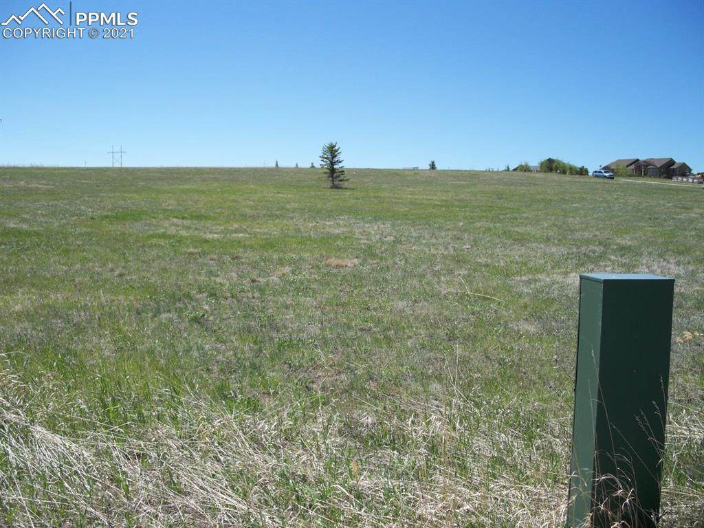 20383 Royal Troon Drive - Photo 1