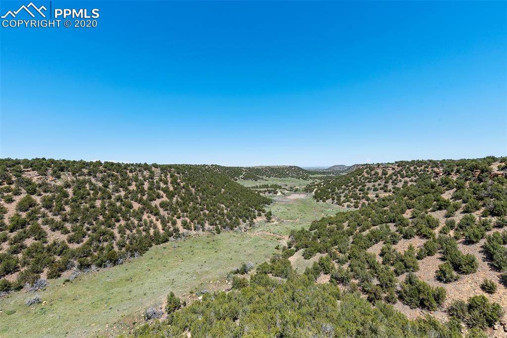 36881 County Road 211 Road - Photo 1
