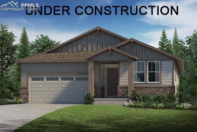 6269 Dapplegray Street - Photo 1
