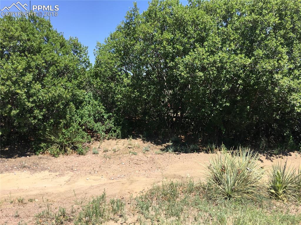 5315 Platinum Drive - Photo 1