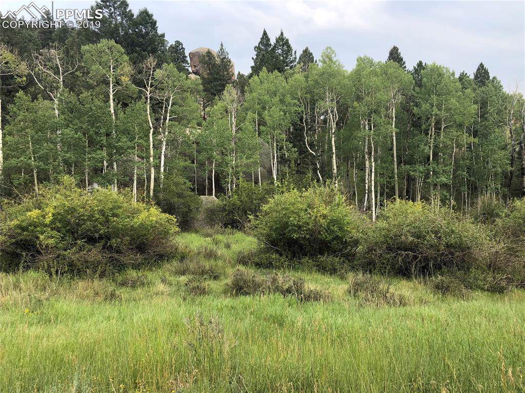 695 Pinon Lane - Photo 1
