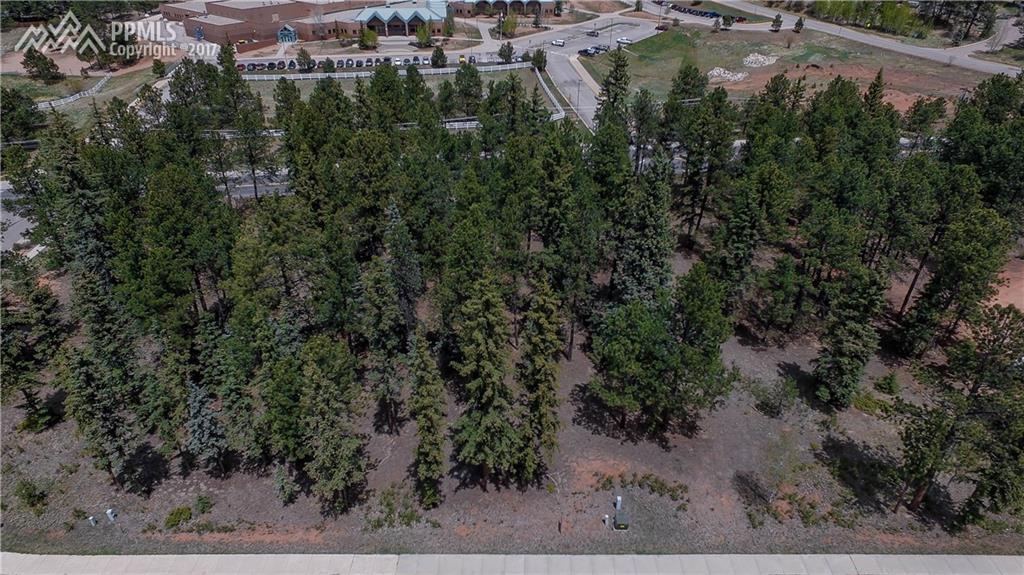 610 Chipmunk Drive - Photo 1