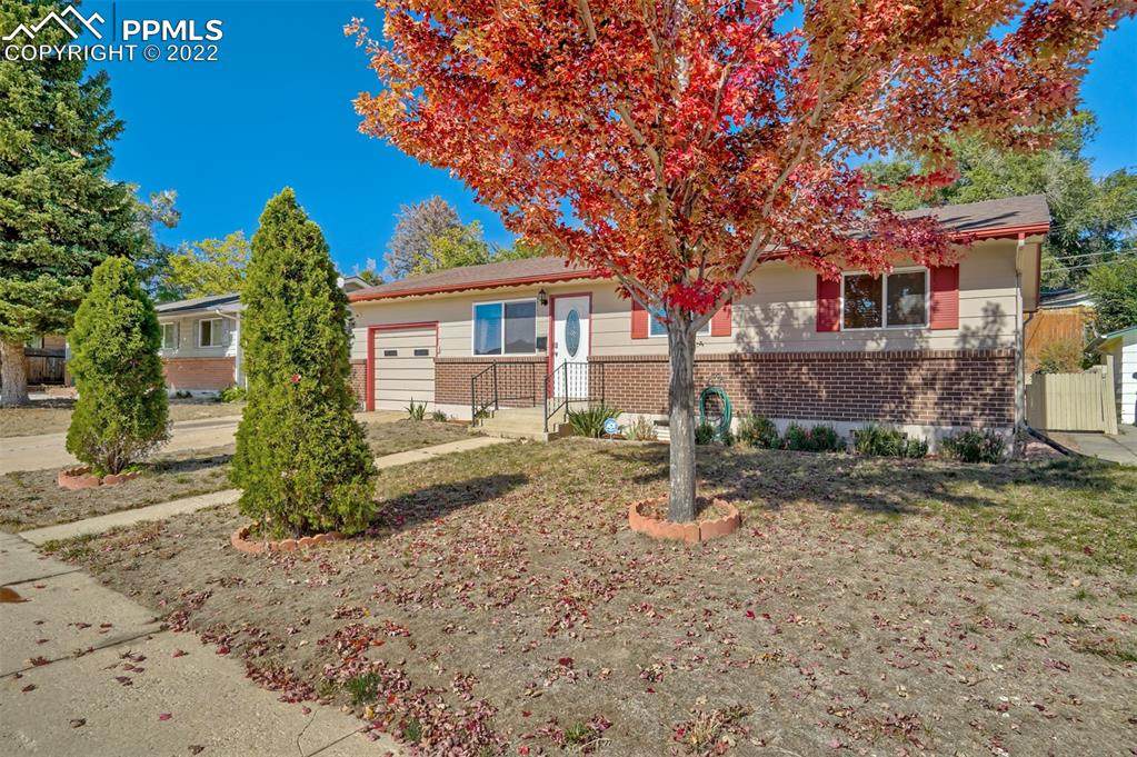 3118 San Miguel Street - Photo 1