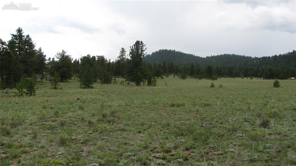 3464 Muley Gulch Drive - Photo 1