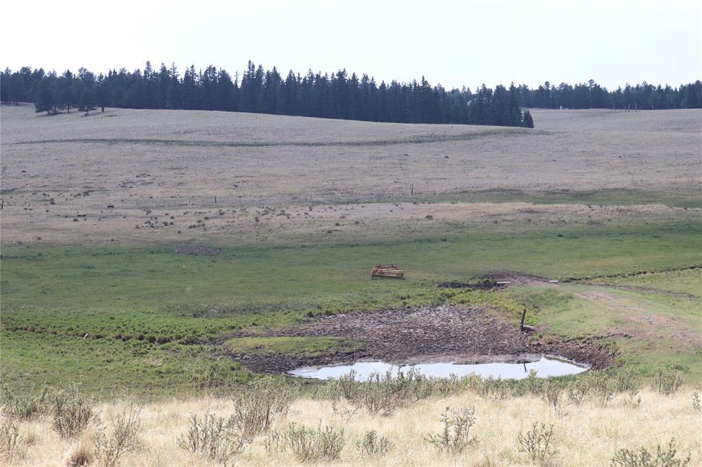 County 25 Road - Photo 1