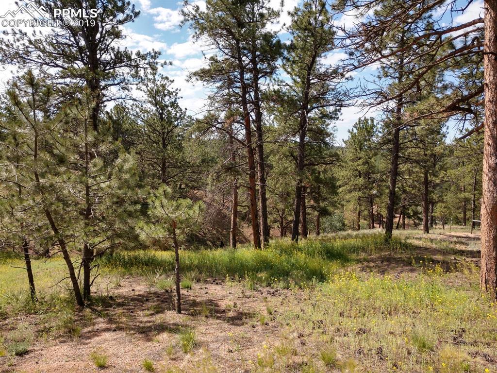 421 Buckridge Road - Photo 1
