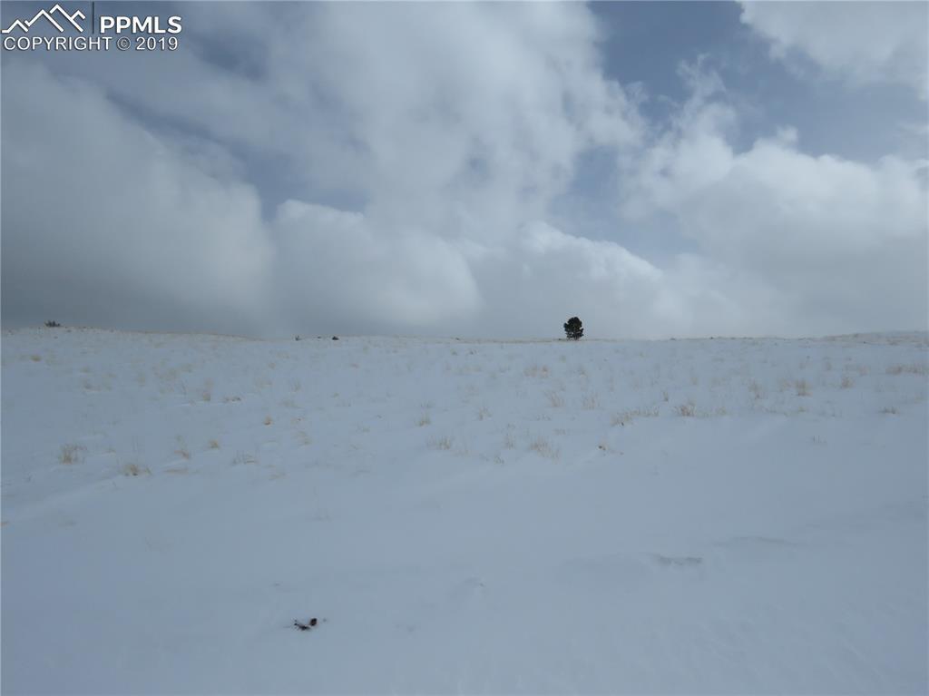 96 Meadow Lane - Photo 1