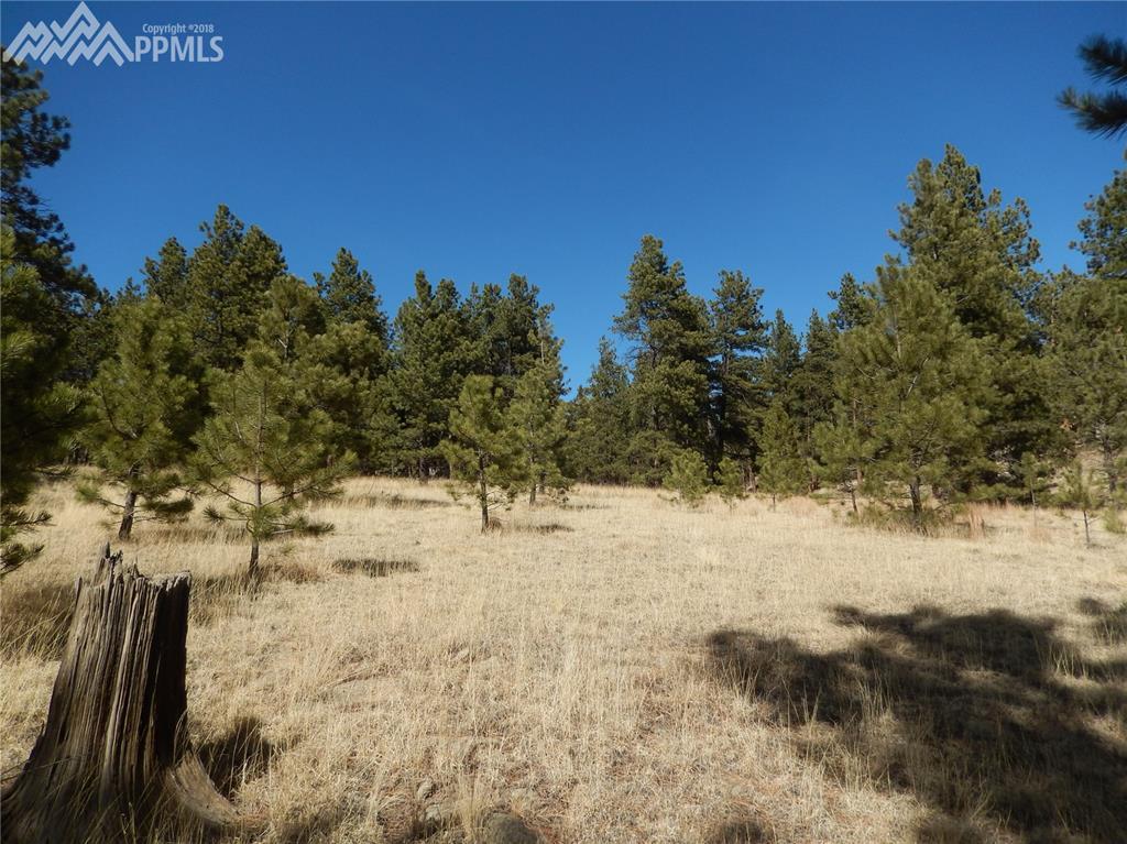 531 Obsidian Drive - Photo 1