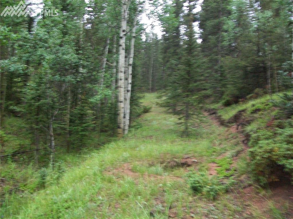 547 Spruce Lake Drive - Photo 1