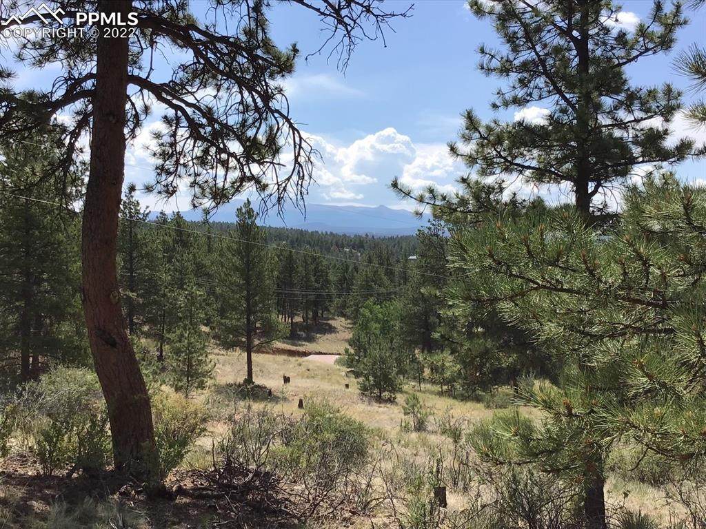 767 Circle Drive - Photo 1