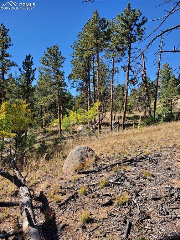233 Overlook Circle - Photo 1