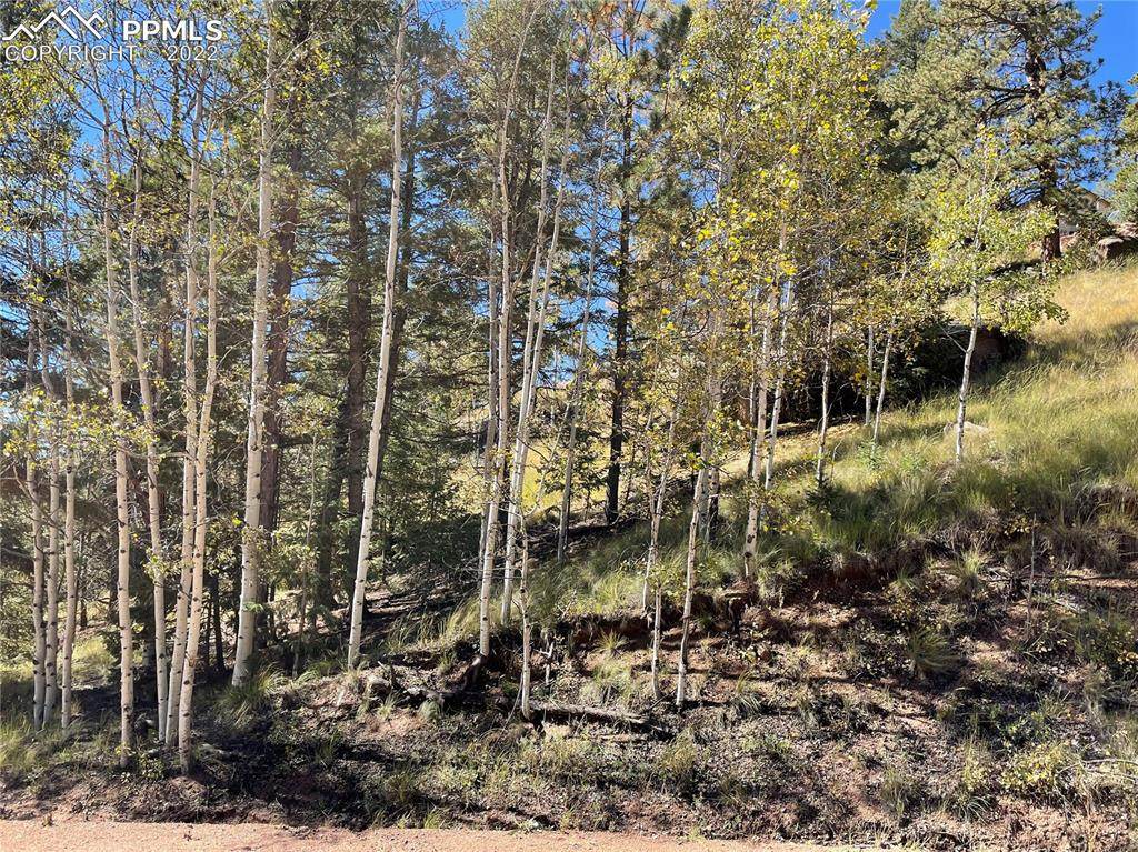 876 Pinon Lane - Photo 1