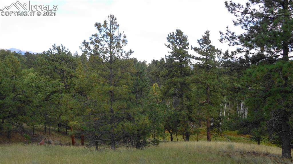 72 Mica Circle - Photo 1