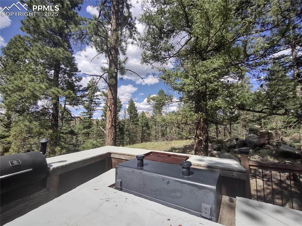 1176 Trail Creek Road - Photo 1