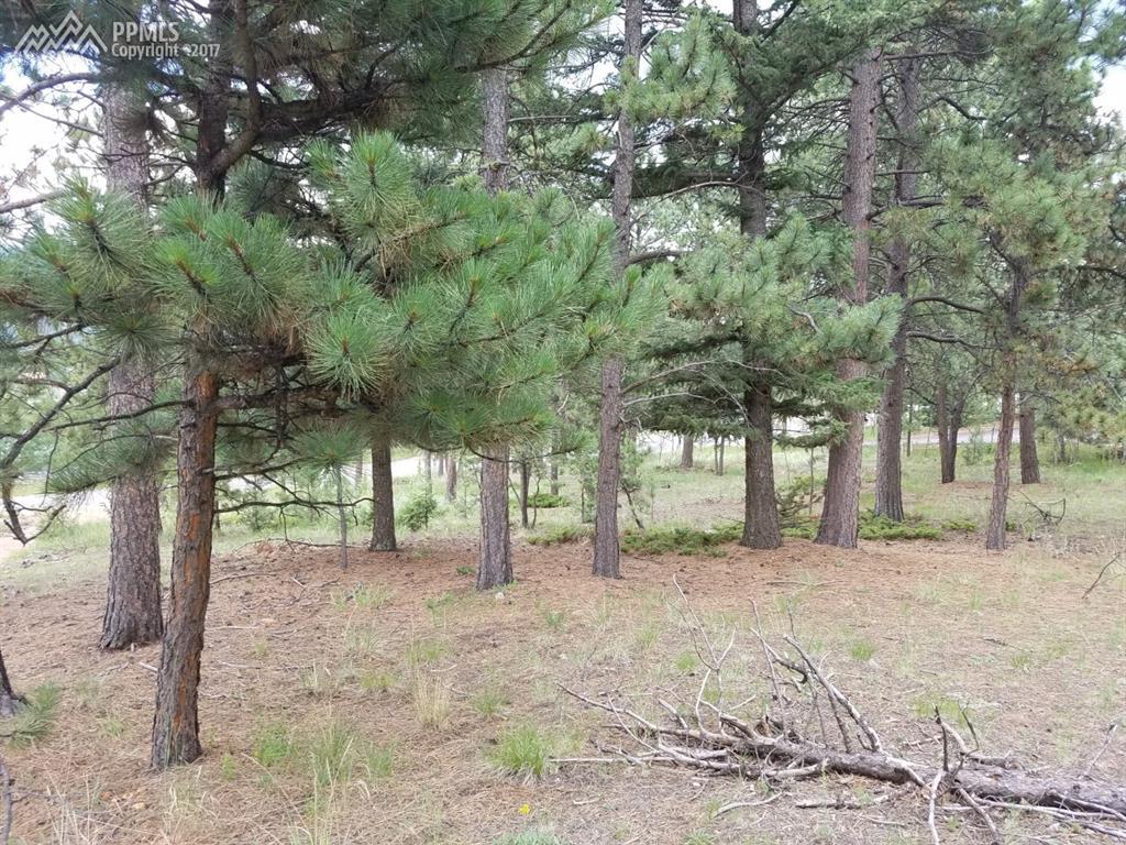 0 Corral Lane - Photo 1