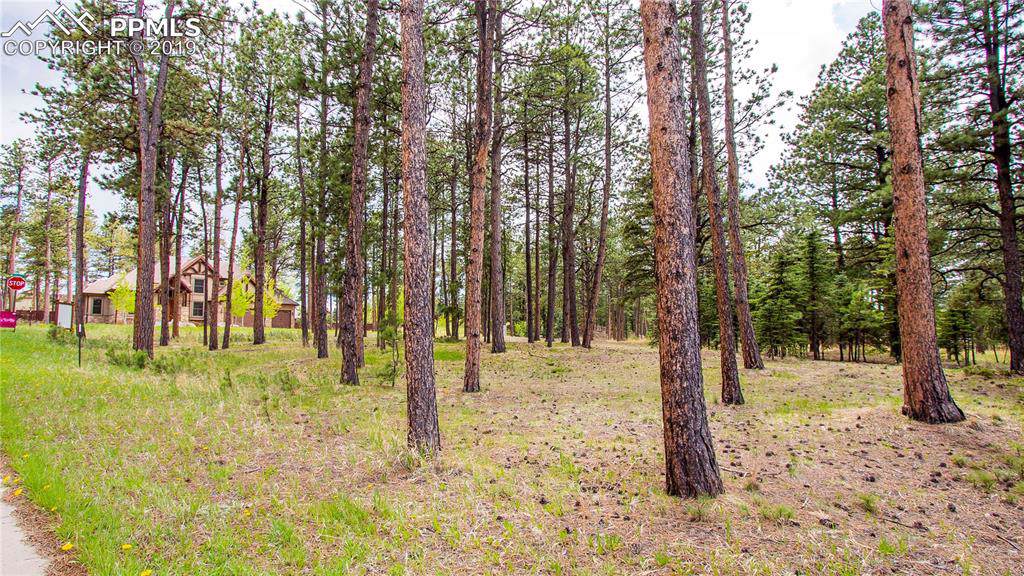675 Chipmunk Drive - Photo 1