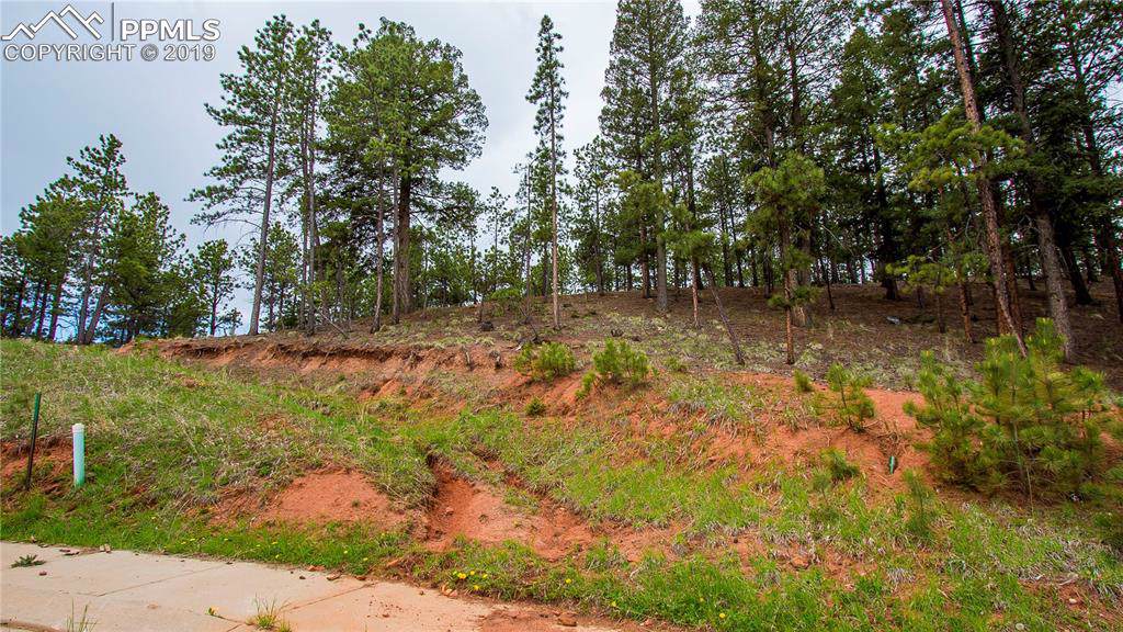 1200 Cottontail Trail - Photo 1