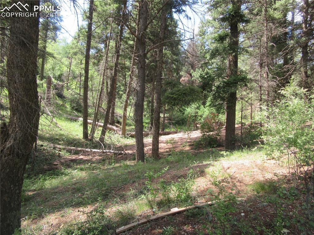 2450 Elk Park Road - Photo 1