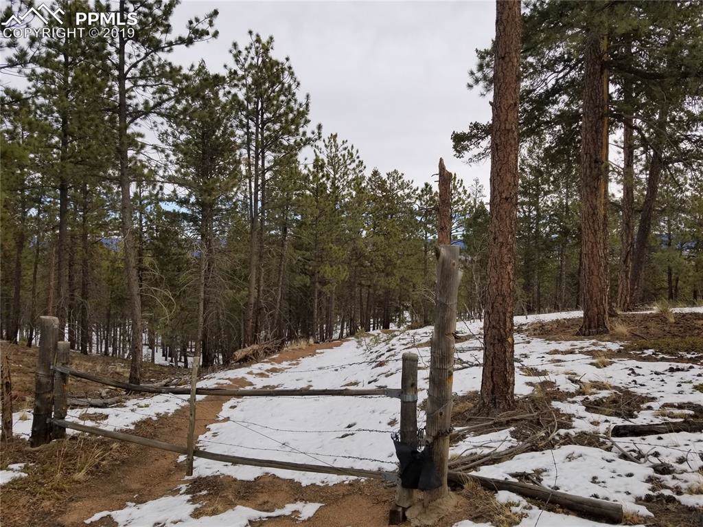 Stump Road - Photo 1