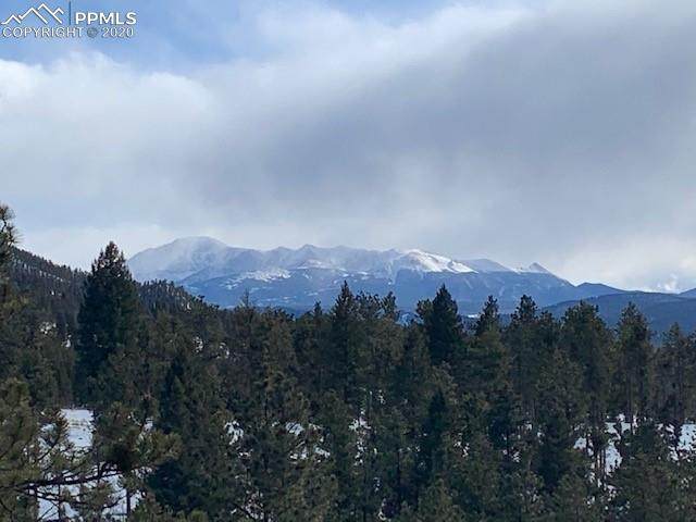 1480 County 79 Road - Photo 1