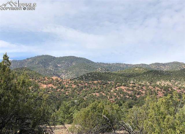 TBD L31 Red Rock Circle - Photo 1