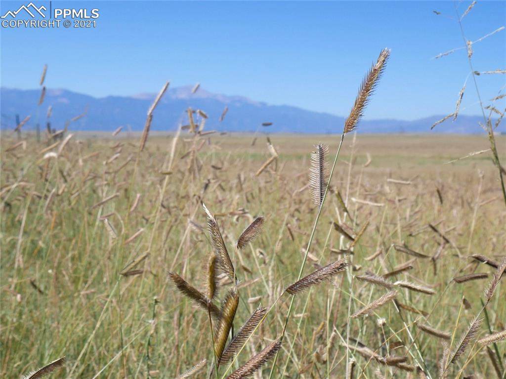 Lot 6 Franceville Coal Mine Road - Photo 1