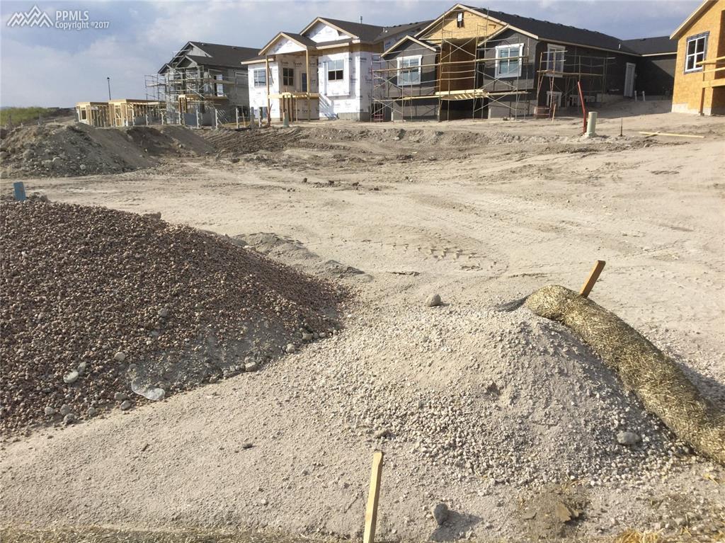 3952 Horse Gulch Loop - Photo 1