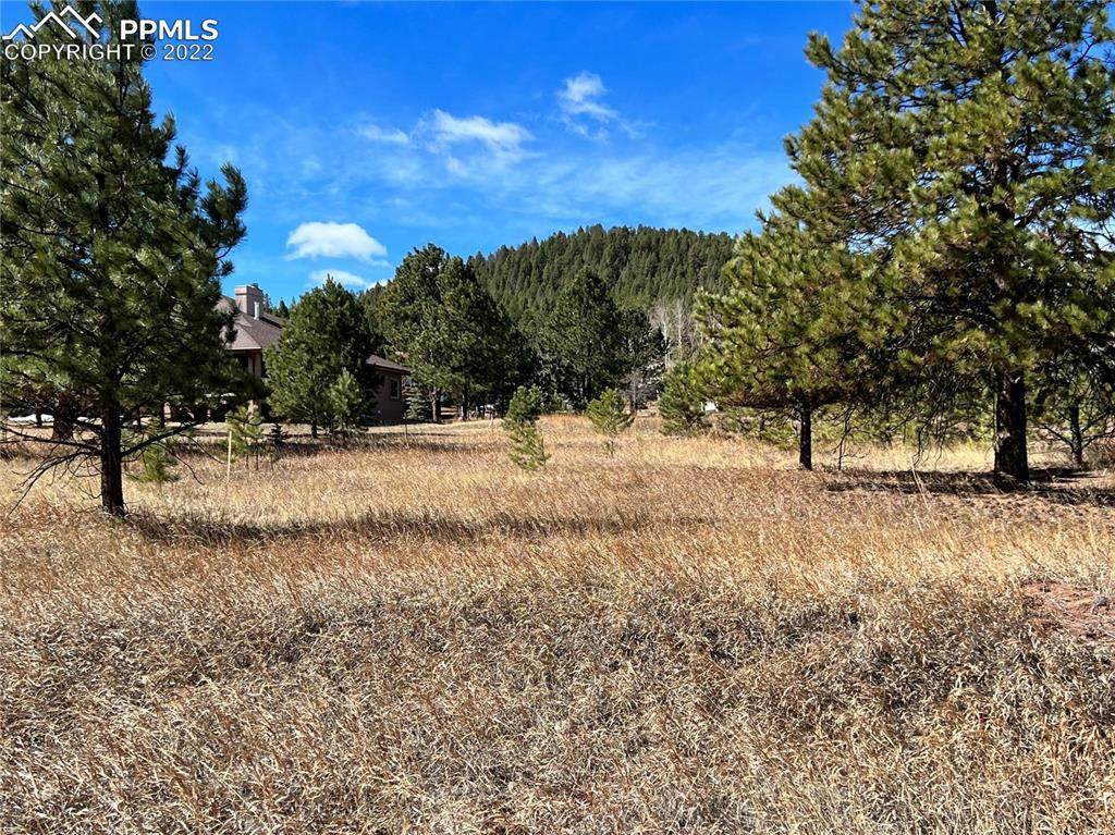 TBD Mountain Meadows Drive - Photo 1