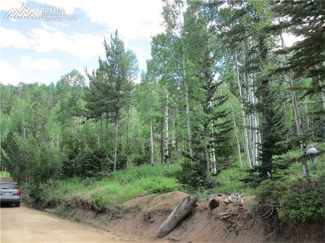 Forest Road - Photo 1