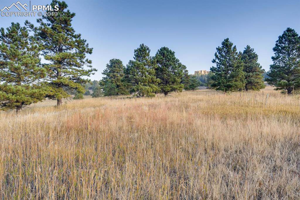 615 Pioneer Camp View - Photo 1