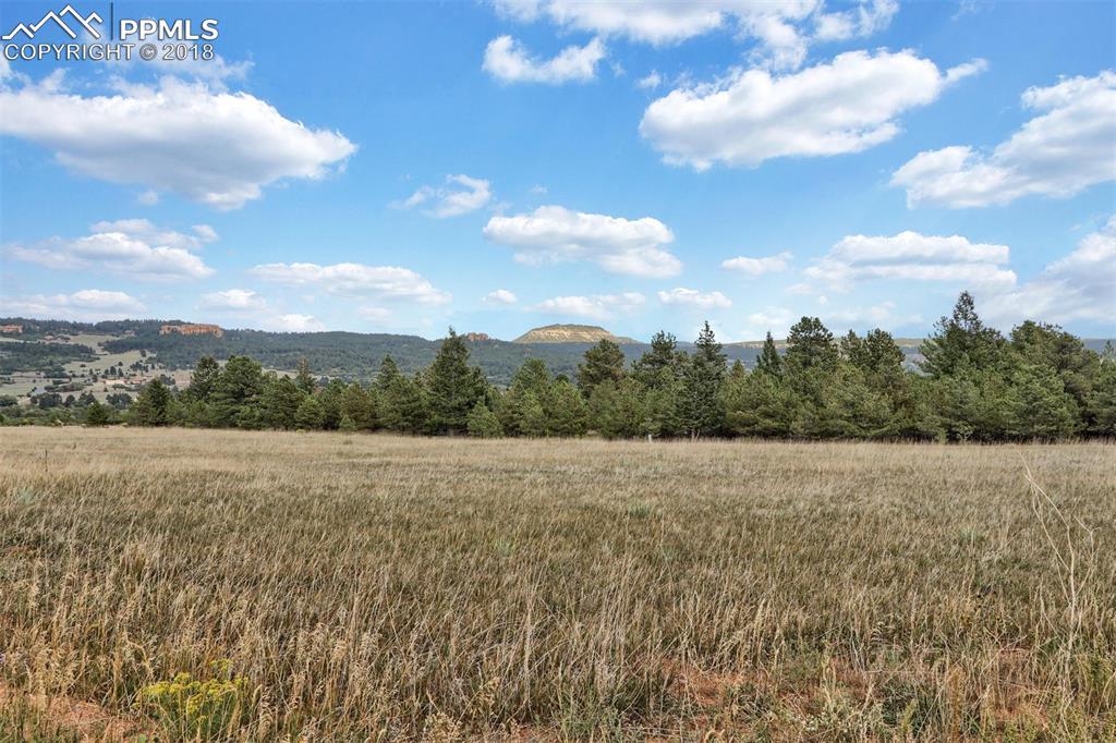 Lot 9 Stone View Road - Photo 1