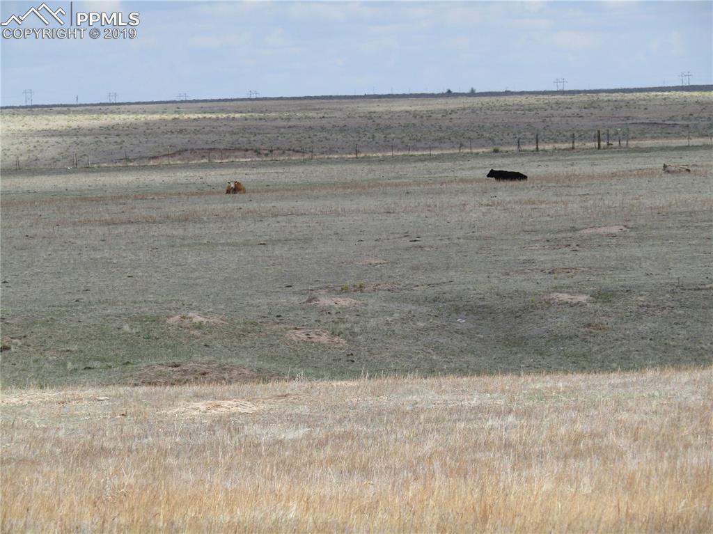 9860 Berridge Road - Photo 1
