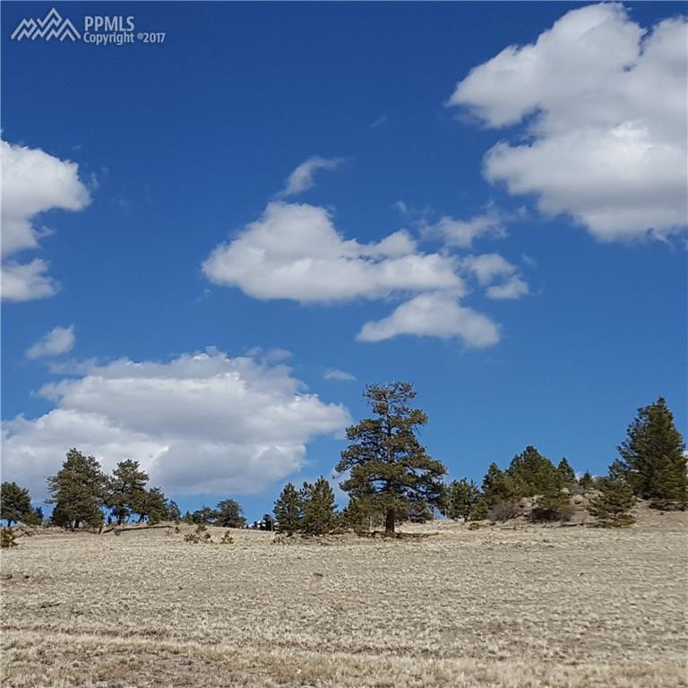 9436 County 53 Road - Photo 1