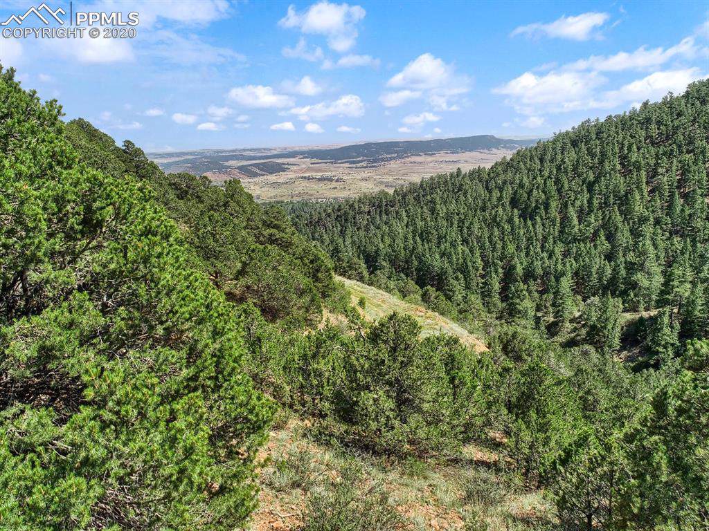 Lot 20 Big Spruce Heights - Photo 1