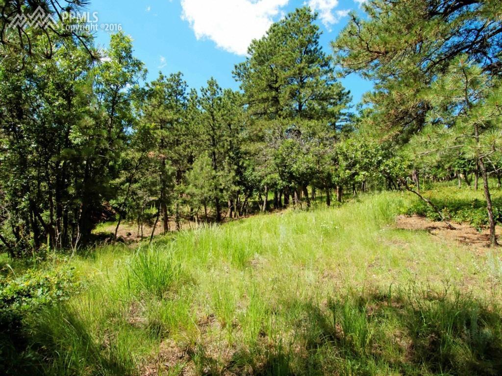 0 Stratton Pines Point - Photo 1