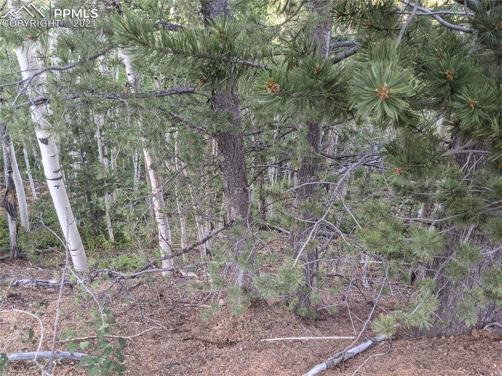 105 Granite Court - Photo 1