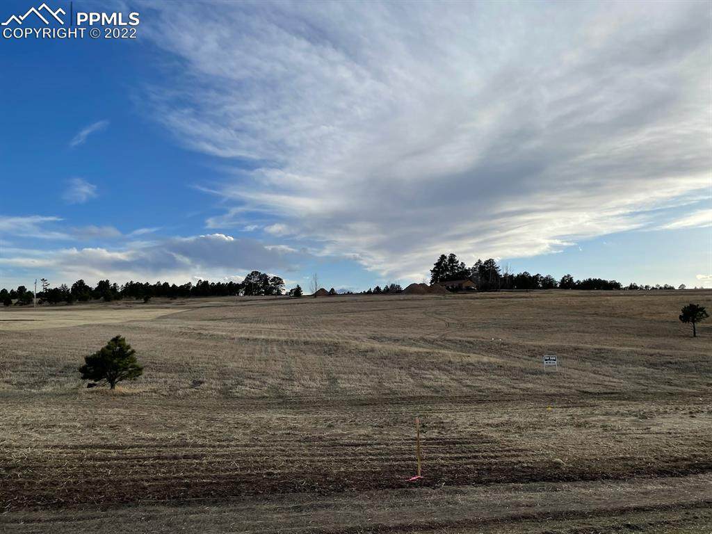 16390 Cherry Crossing Drive - Photo 1