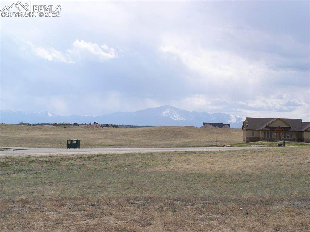 13730 Coyote Crossing Lane - Photo 1