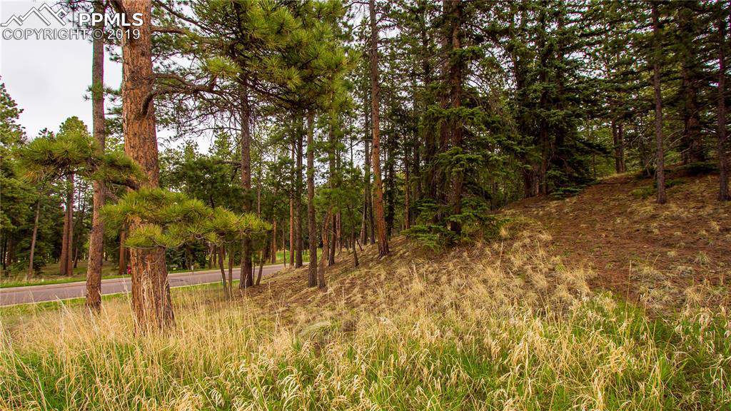 615 Meadowlark Lane - Photo 1