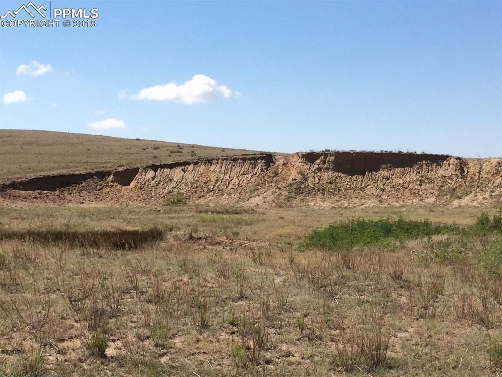 000000 County 169 Road - Photo 1