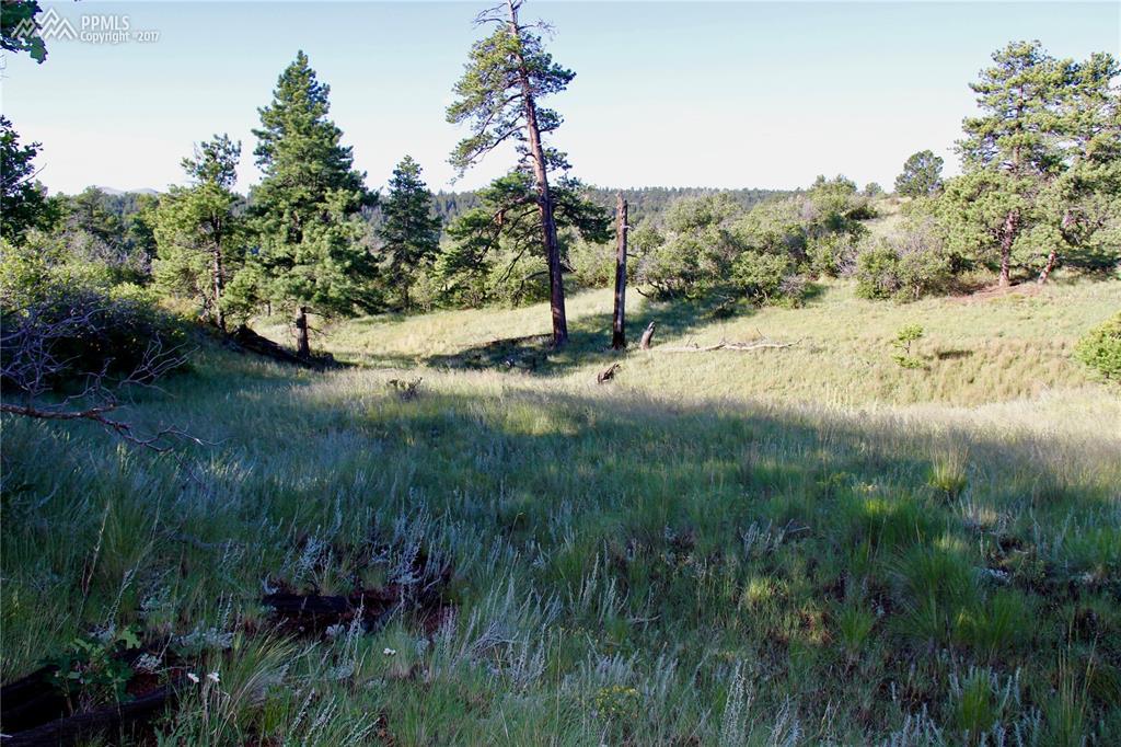292 Pine Road - Photo 1