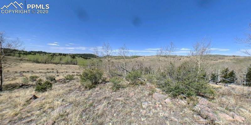 000 County Road 863 Road - Photo 1