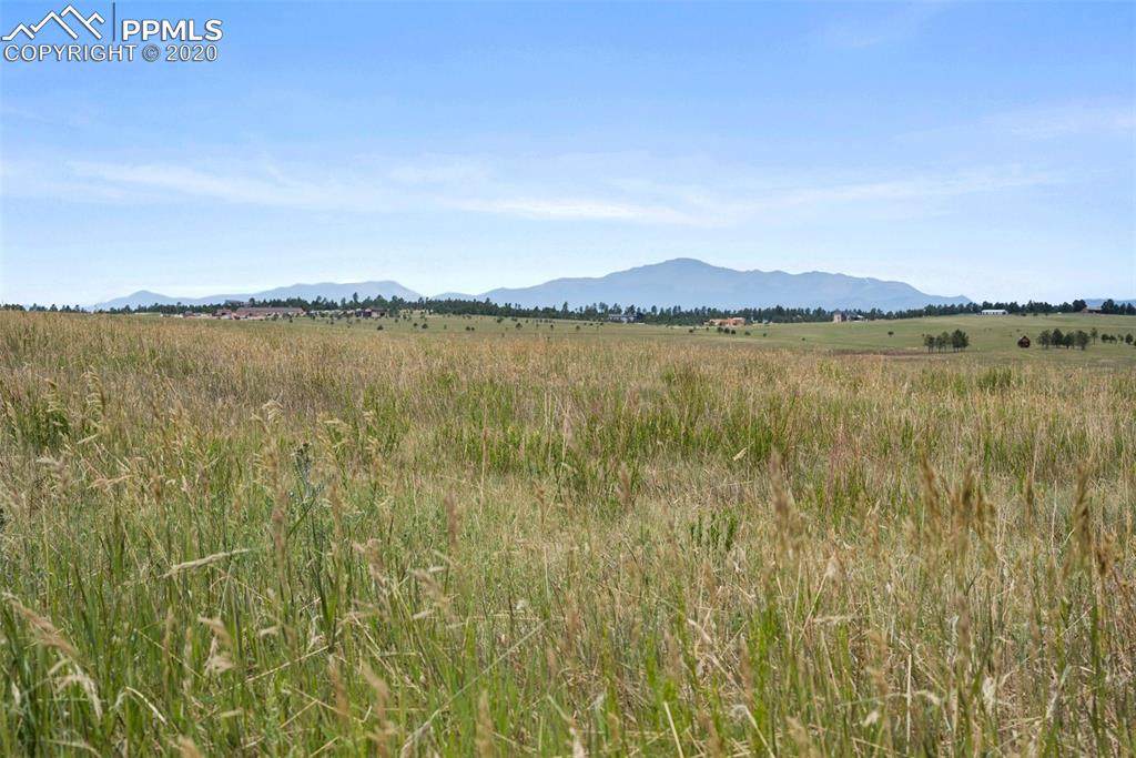 0000 Hodgen Road - Photo 1