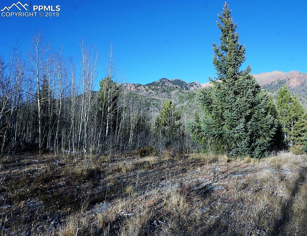 TBD Castle Ridge View - Photo 1